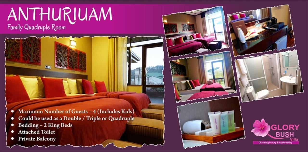 Glory Bush Boutique Villa Nuwara Eliya Exterior foto